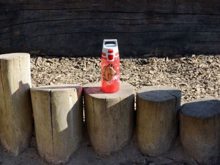 SIGG Butelka dla dzieci 500ml SIGG VIVA ONE Horses - bidon dziecięcy czerwony