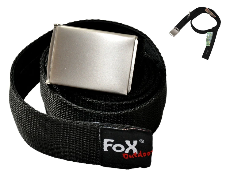 pasekfox_a.jpg